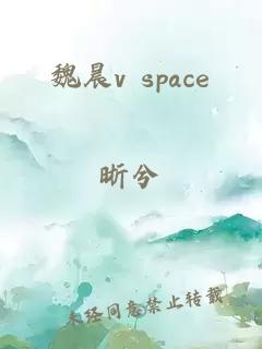 魏晨v space